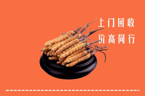 高价求购：益阳市回收散虫草