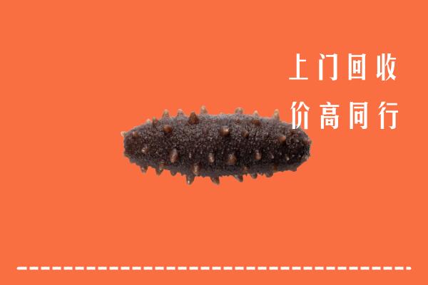高价求购：益阳市回收海参
