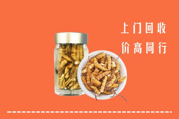 益阳市回收冬虫夏草