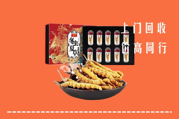益阳市回收虫草